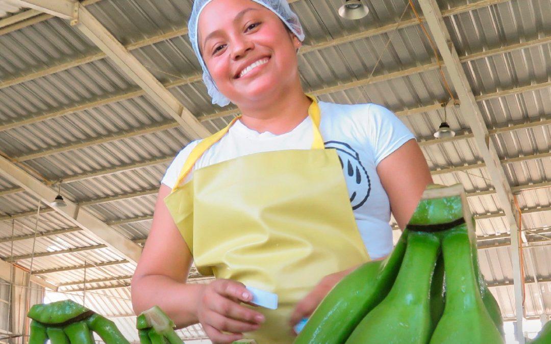 FROM FARM TO WORLD: A VALUE CHAIN WITH PURPOSE