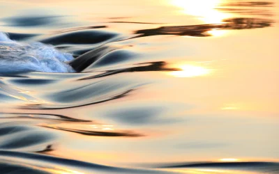THE INVISIBLE GOLD OF OUR CENTURY