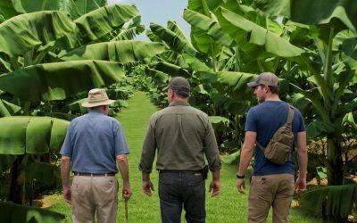 FAMILY LEGACY: TRADITION AND INNOVATION IN A GLOBAL MARKET